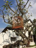 Mitbewohner &ndash; &copy; Peter Wagner (Eberhardt TRAVEL)