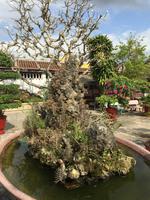 Gartenkunst &ndash; &copy; Peter Wagner (Eberhardt TRAVEL)