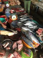 Fischmarkt &ndash; &copy; Peter Wagner (Eberhardt TRAVEL)