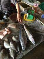 Fischmarkt &ndash; &copy; Peter Wagner (Eberhardt TRAVEL)