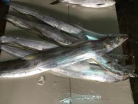 Fischmarkt &ndash; &copy; Peter Wagner (Eberhardt TRAVEL)