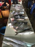 Fischmarkt &ndash; &copy; Peter Wagner (Eberhardt TRAVEL)