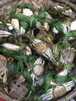 Fischmarkt &ndash; &copy; Peter Wagner (Eberhardt TRAVEL)