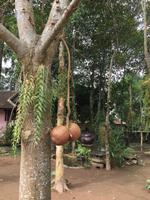Gartenansichten &ndash; &copy; Peter Wagner (Eberhardt TRAVEL)
