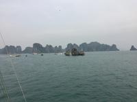 Halong Bucht &ndash; &copy; Peter Wagner (Eberhardt TRAVEL)