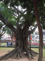 Hanoi &ndash; &copy; Peter Wagner (Eberhardt TRAVEL)