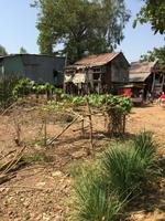 Mekong &ndash; &copy; Peter Wagner (Eberhardt TRAVEL)