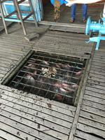 Mekong Fischzucht &ndash; &copy; Peter Wagner (Eberhardt TRAVEL)