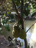 Mekong zum Genießen &ndash; &copy; Peter Wagner (Eberhardt TRAVEL)