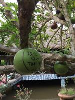 Mekong &ndash; &copy; Peter Wagner (Eberhardt TRAVEL)