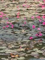 Angkor Wat &ndash; &copy; Peter Wagner (Eberhardt TRAVEL)