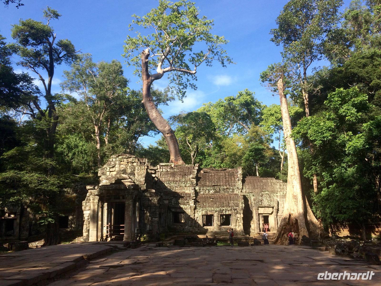 Ta Phrom &ndash; &copy; Ngoc Anh Nguyen (Eberhardt TRAVEL)