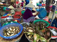 &copy; Ngoc Anh Nguyen (Eberhardt TRAVEL)