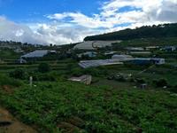 IMG 4177 &ndash; &copy; Ngoc Anh Nguyen (Eberhardt TRAVEL)