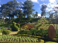 IMG 4186 &ndash; &copy; Ngoc Anh Nguyen (Eberhardt TRAVEL)