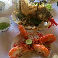 IMG 4562 &ndash; &copy; Ngoc Anh Nguyen (Eberhardt TRAVEL)