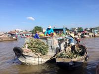 IMG 4683 &ndash; &copy; Ngoc Anh Nguyen (Eberhardt TRAVEL)