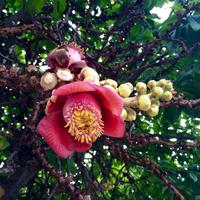 IMG 4745 &ndash; &copy; Ngoc Anh Nguyen (Eberhardt TRAVEL)