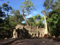 Ta Phrom &ndash; &copy; Ngoc Anh Nguyen (Eberhardt TRAVEL)