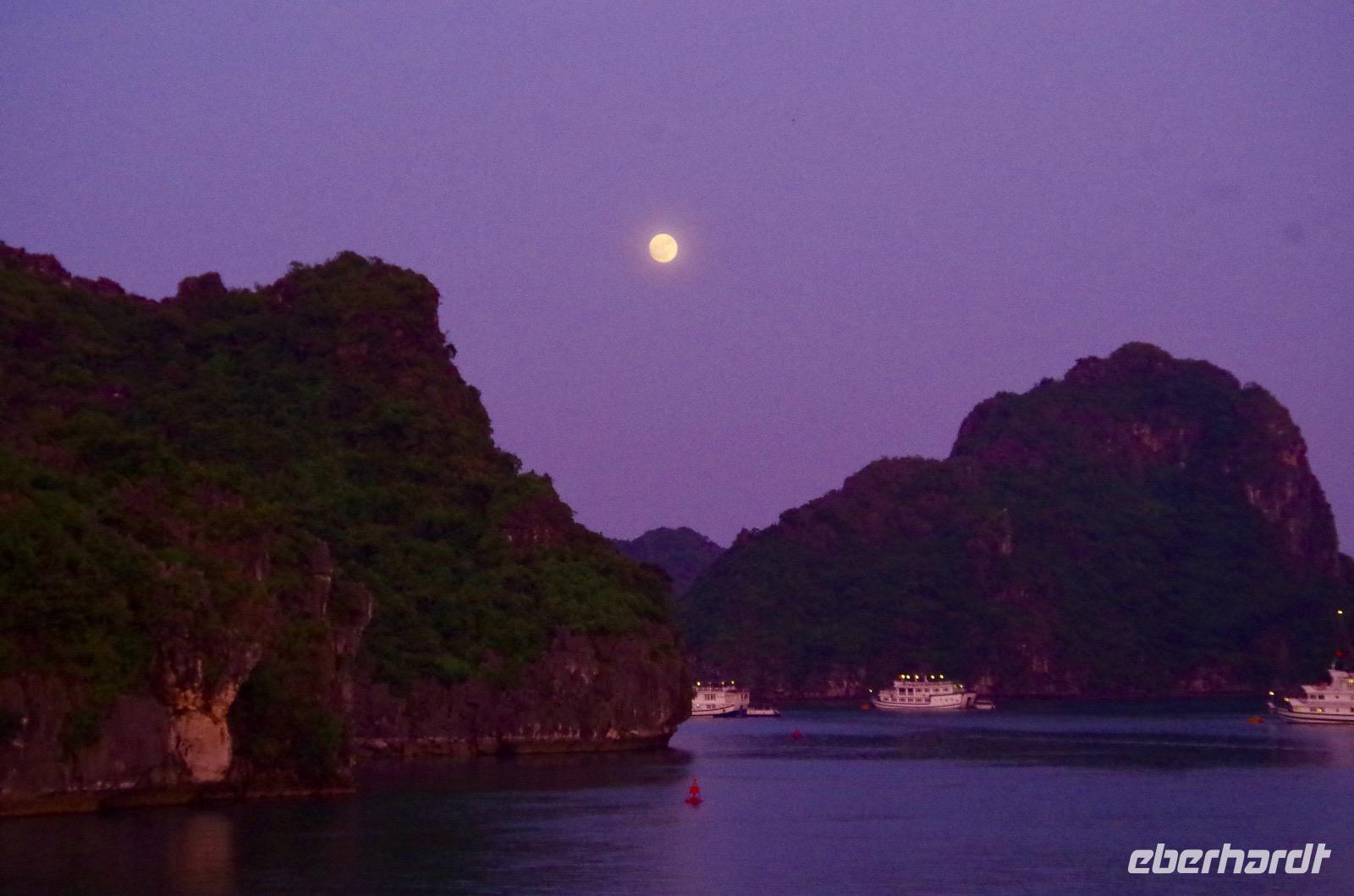 fullsizeoutput_34dd &ndash; &copy; Ngoc Anh Nguyen (Eberhardt TRAVEL)