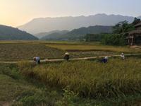 Mai Chau &ndash; &copy; Ngoc Anh Nguyen (Eberhardt TRAVEL)