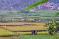 Mai Chau &ndash; &copy; Ngoc Anh Nguyen (Eberhardt TRAVEL)
