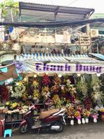 fullsizeoutput_3bbc &ndash; &copy; Ngoc Anh Nguyen (Eberhardt TRAVEL)