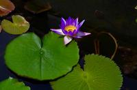 fullsizeoutput_3d4f &ndash; &copy; Ngoc Anh Nguyen (Eberhardt TRAVEL)