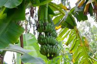 fullsizeoutput_3d60 &ndash; &copy; Ngoc Anh Nguyen (Eberhardt TRAVEL)