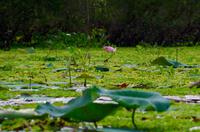 fullsizeoutput_3d70 &ndash; &copy; Ngoc Anh Nguyen (Eberhardt TRAVEL)
