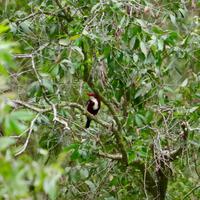 fullsizeoutput_3d98 &ndash; &copy; Ngoc Anh Nguyen (Eberhardt TRAVEL)