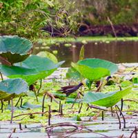 fullsizeoutput_3d9a &ndash; &copy; Ngoc Anh Nguyen (Eberhardt TRAVEL)