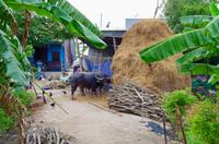 fullsizeoutput_3d9f &ndash; &copy; Ngoc Anh Nguyen (Eberhardt TRAVEL)