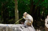 fullsizeoutput_3ece &ndash; &copy; Ngoc Anh Nguyen (Eberhardt TRAVEL)
