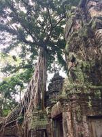 fullsizeoutput_3fde &ndash; &copy; Ngoc Anh Nguyen (Eberhardt TRAVEL)