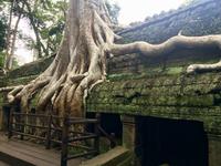 fullsizeoutput_3fe3 &ndash; &copy; Ngoc Anh Nguyen (Eberhardt TRAVEL)