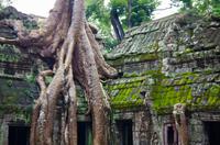 fullsizeoutput_3fec &ndash; &copy; Ngoc Anh Nguyen (Eberhardt TRAVEL)