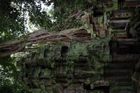 IMGP0504 &ndash; &copy; Ngoc Anh Nguyen (Eberhardt TRAVEL)