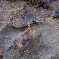 fullsizeoutput_406d &ndash; &copy; Ngoc Anh Nguyen (Eberhardt TRAVEL)