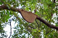 fullsizeoutput_40b9 &ndash; &copy; Ngoc Anh Nguyen (Eberhardt TRAVEL)