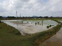 05.06_ auf dem Weg nach Ninh Binh &ndash; &copy; Jörg Nesse (Eberhardt TRAVEL)
