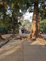 18.01_Dschungeltempel Ta Prohm (4) &ndash; &copy; Jörg Nesse (Eberhardt TRAVEL)