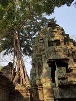 18.01_Dschungeltempel Ta Prohm (15) &ndash; &copy; Jörg Nesse (Eberhardt TRAVEL)