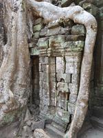 18.01_Dschungeltempel Ta Prohm (17) &ndash; &copy; Jörg Nesse (Eberhardt TRAVEL)