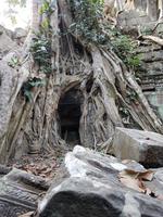 18.01_Dschungeltempel Ta Prohm (28) &ndash; &copy; Jörg Nesse (Eberhardt TRAVEL)