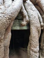 18.01_Dschungeltempel Ta Prohm (33) &ndash; &copy; Jörg Nesse (Eberhardt TRAVEL)