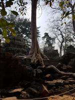 18.01_Dschungeltempel Ta Prohm (35) &ndash; &copy; Jörg Nesse (Eberhardt TRAVEL)