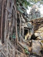 18.01_Dschungeltempel Ta Prohm (38) &ndash; &copy; Jörg Nesse (Eberhardt TRAVEL)