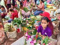 Willst Du nun ein Gesteck oder bloss .... &ndash; &copy; Elisabeth Fox-Maerki (Eberhardt TRAVEL)