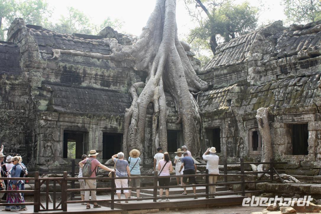 Angkor - Ta Phrom &ndash; &copy; Ngoc Anh Nguyen (Eberhardt TRAVEL)
